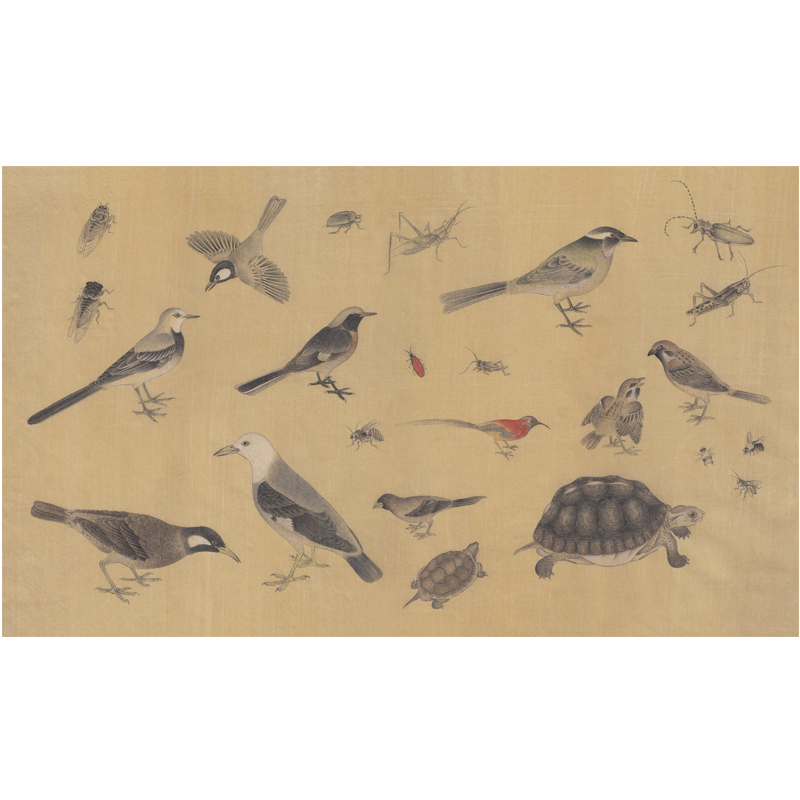  дͼ ߴ磺900mmX500mm.jpg