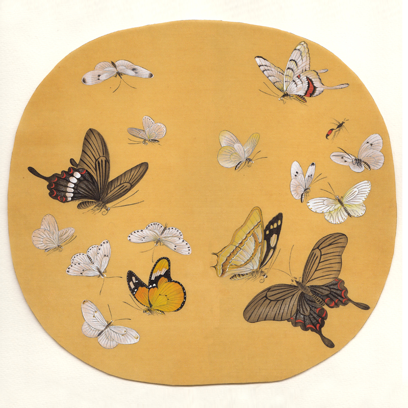 紺Ϸͼ30 cmX 30cm.jpg