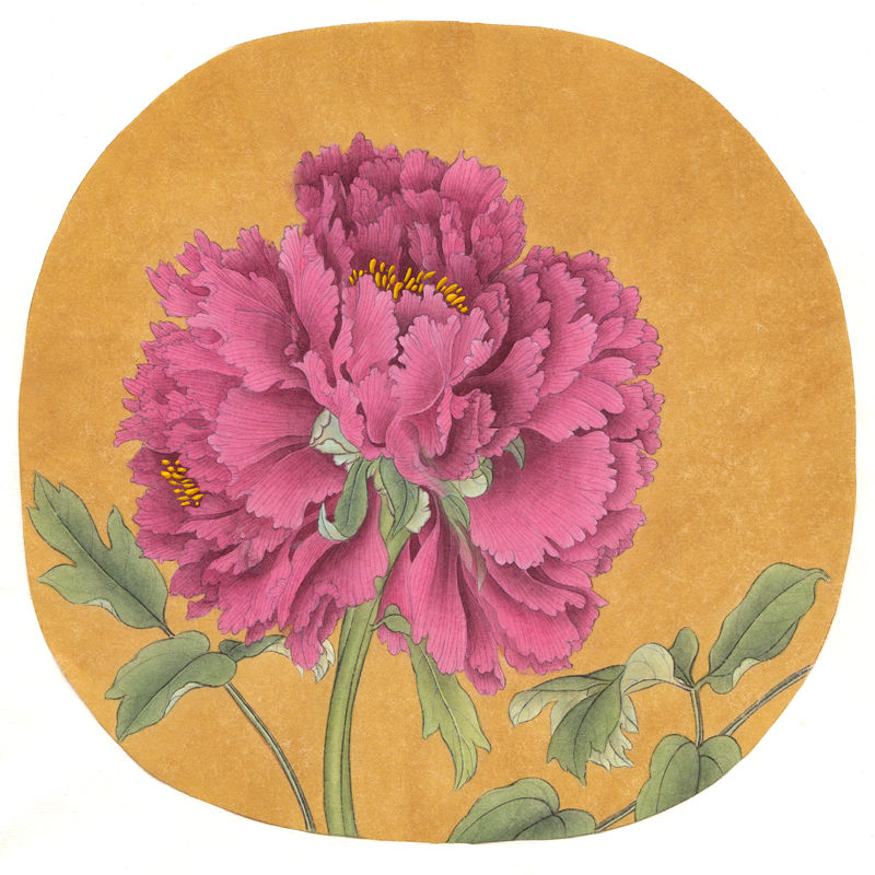 ĵͼ 23cm X 28cm.jpg