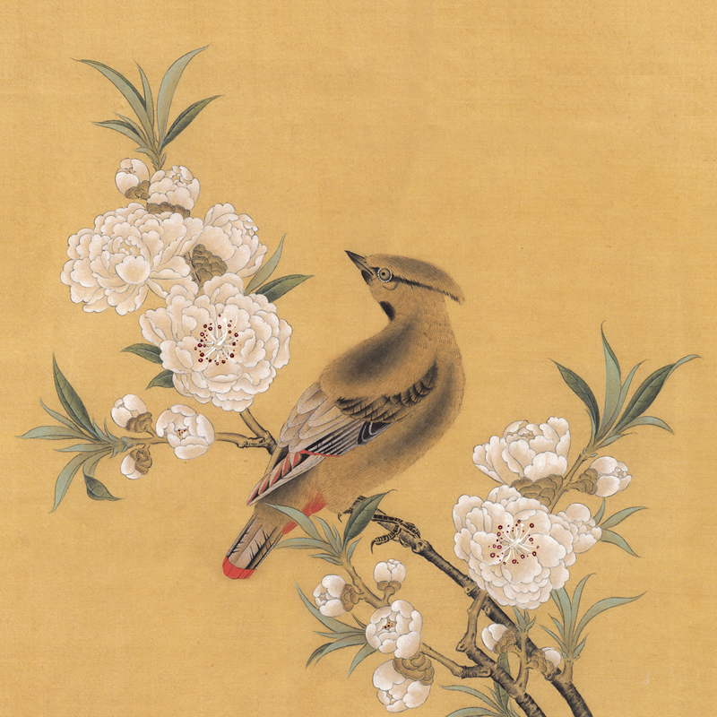 һɽͼ 33cm X 33cm.jpg