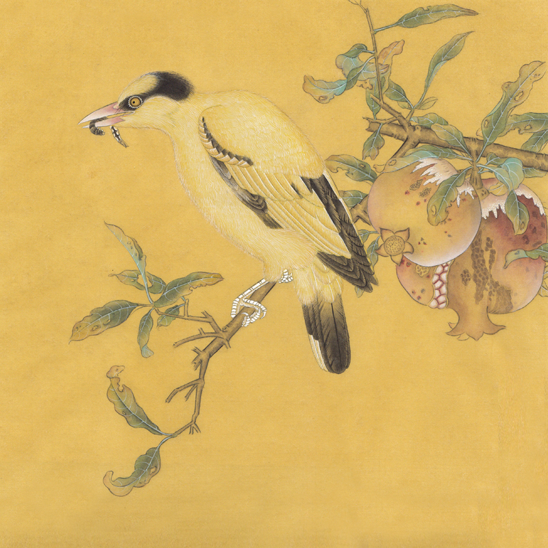 ֦ͼ 30cm X 30cm.jpg